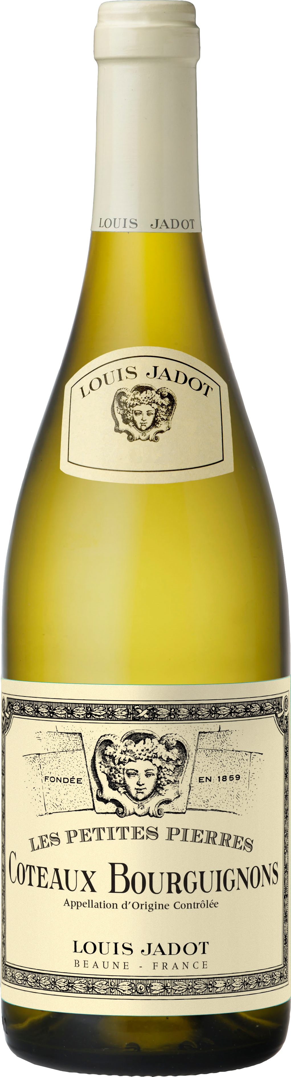 Louis Jadot, Coteaux Bourguignons, AOC white