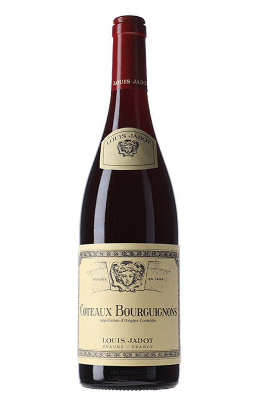 Louis Jadot, Coteaux Bourguignons, AOC red